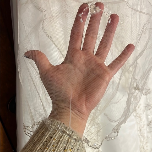 David's Bridal Ivory Wedding Dress - Picture 11 of 14